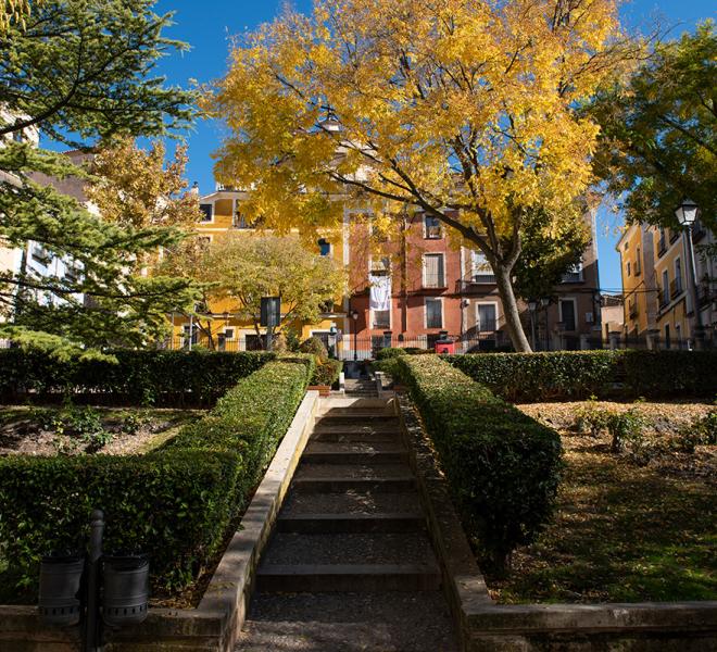 Jardincillo del Salvador