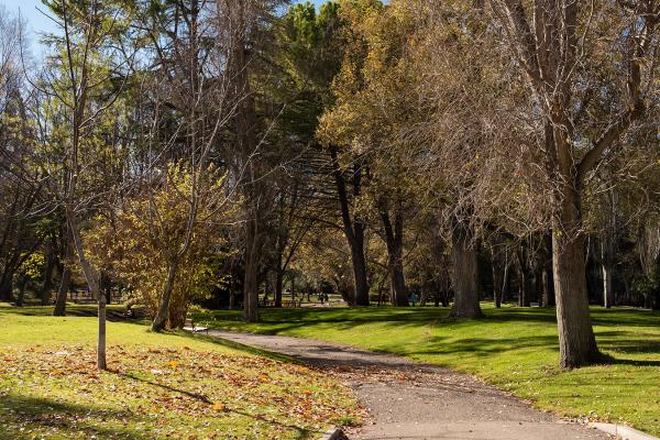 Parque de los Moralejos